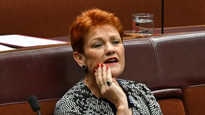Defamation case not a Pauline Hanson 'royal commission'