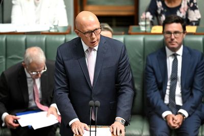 Assault charges to be dropped against man released from indefinite detention hours after Dutton question time attack