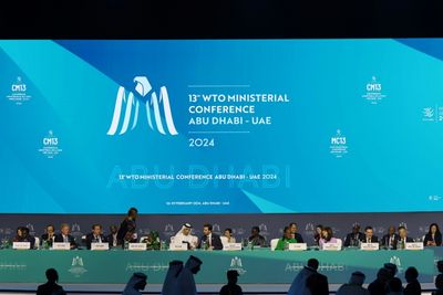 WTO Ministers Struggle To Forge Fish, Farm, Digital Deals