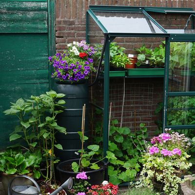 How to start a small vegetable garden – because, no, you don't need lots of space to grow your own