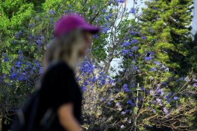 February Breaks Records As Warmest Month Amid Climate Change