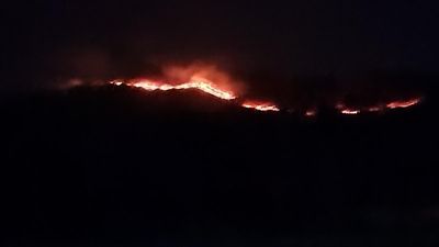 Fire destroys dried grass on hilock near Pallikonda in Vellore