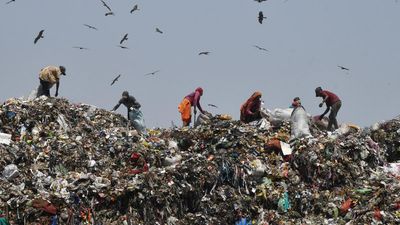 Understanding the world of the informal waste picker