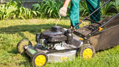 When is the best time to mow the lawn? A gardening expert explains