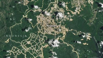 Striking new satellite images show Indonesia's new jungle capital taking shape