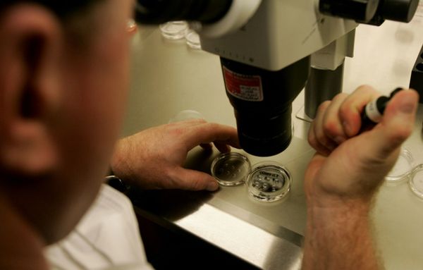 Alabama Lawmakers Vote To Protect IVF In Wake Of Court Ruling