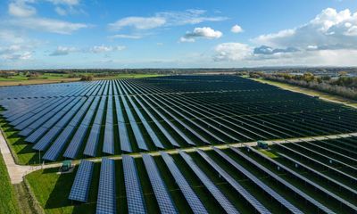 Weatherwatch: how solar farms benefit bees and butterflies