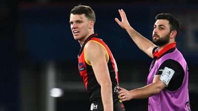 Max Holmes stars for Cats as Bombers lose Jordan Ridley