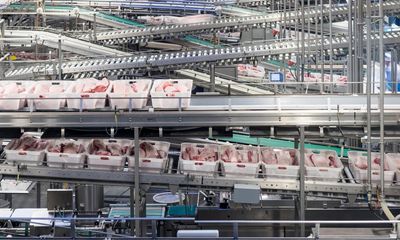 Danish firm’s ‘climate-controlled pork’ claim misleading, court rules