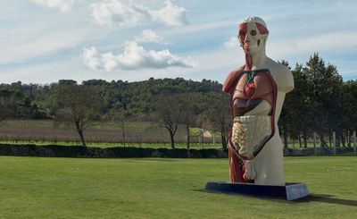 Damien Hirst takes over Château La Coste