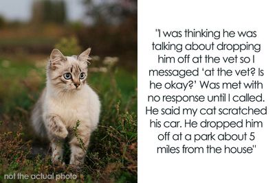 “[Am I The Jerk] For Calling Off My $40K Wedding Because My Fiancé Dropped My Cat Off Somewhere?”