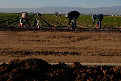 Eliminating Silos In Agriculture: How An End-To-End Supply Chain Solution Enables Food Security And Sustainability