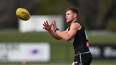Swans recruit Taylor Adams sidelined for a month