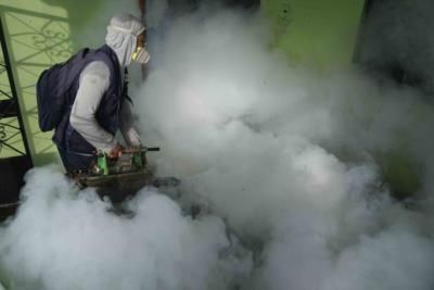 Dengue Outbreak In Piura Due To Water Shortages