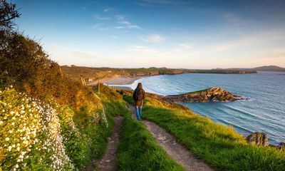 New life buzzes from all directions: why Pembrokeshire in spring is a nature-lover’s dream