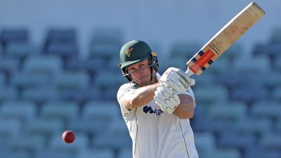 Webster scores 167 as Tasmania's tail frustrates Vics