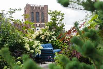 5 of the Best Plants for a Balcony — Beautiful Picks for Small Spaces (and Even One Vegetable!)