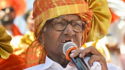 Sharad Pawar attends ‘Namo Rojgar Melava 2024’ amidst controversy