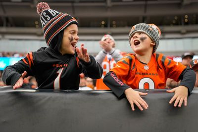 All 32 NFL teams ranked by attendance in 2023 season (including the Bengals)