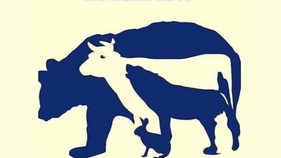 Brain teaser: How many animals do you see in this picture?