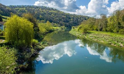 WWF shelved report exposing River Wye pollution ‘to keep Tesco happy’