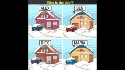 A robbery happened in the neighbourhood; can you guess the thief?