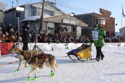 Eastern U.S. Longest Sled Dog Race Canceled Due To Lack Of Snow