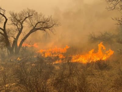 Texas Wildfires Devastate Communities, Firefighters Struggle To Contain Flames