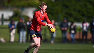 Demons aim high after AFL off-season from hell