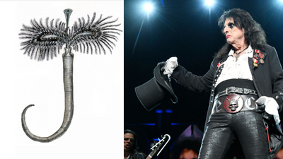 Scientists name Jurassic marine worm after shock rock icon Alice Cooper