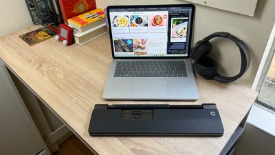 My new favorite wrist rest is a mouse — or is it the other way around?