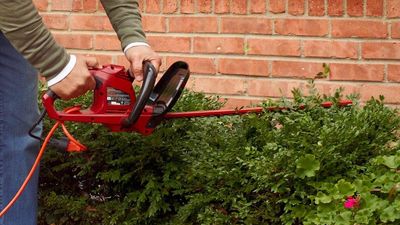 How to choose a hedge trimmer — a gardening expert tells all