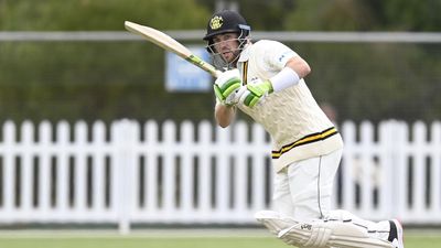 WA boost prospects of making another Shield final