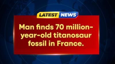 Man Discovers Rare 70 Million-Year-Old Titanosaur Fossil In France
