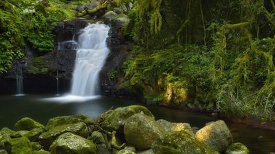 Hiker dies trying to retrieve fallen camera tripod above waterfall