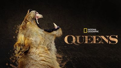 How to watch Queens: stream the Nat Geo nature doc online or on TV