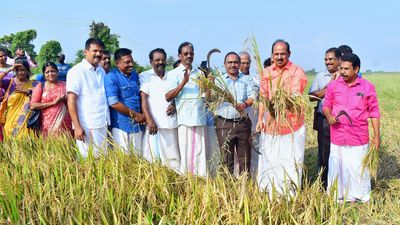 Government to disburse paddy procurement price within 15 days: G.R. Anil