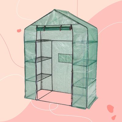 Aldi is selling a walk-in greenhouse for £30 – it's perfect for small gardens and newbie gardeners