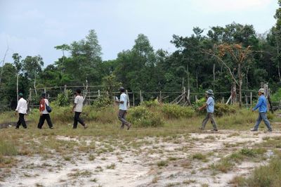 Companies Seeking To Lead Must Heed Booming Green Industry And Circular Economy, Says Global GreenTag