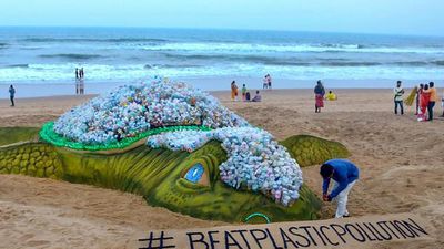 Odisha bans single-use plastics inside sanctuaries, ecotourism places