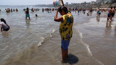 2023-24 El Nino among five strongest on record, will continue fuelling heat in 2024: WMO