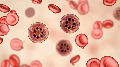 What is bleeding disorder? All you need to know about this disease