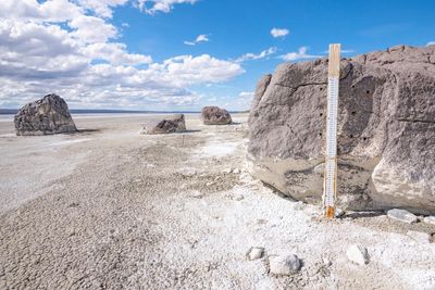 ‘On a razor’s edge’: migratory birds rely on this salt lake – but it’s dying