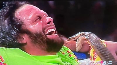 The Inside Story of Randy "Macho Man" Savage Taking a Snake Bite Is Wild