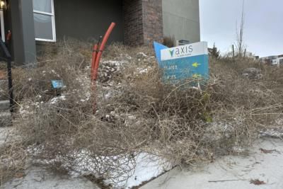 Tumbleweed Takeover: Suburban Salt Lake City Blanketed In Weeds