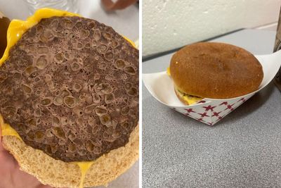 “It Is Still Edible”: School Stands By “Sickening” Cafeteria Food Mom Threatens Lawsuit Over