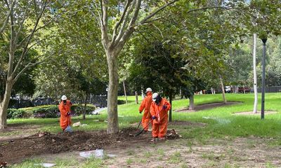 Asbestos-contaminated mulch found at 75 sites across Sydney, watchdog finds