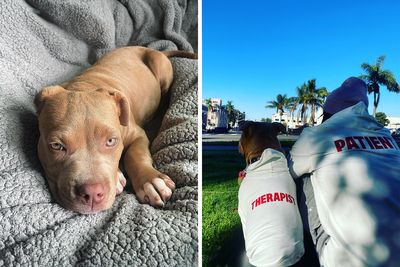 Pit Bull Overjoyed When She Finally Has Friends To Play With After Being Avoided By Other Dogs