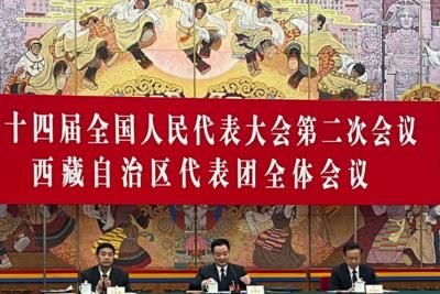 Tibet Reports No Major Political Incidents In Past Year