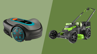 Robot vs push lawn mower: Which is best for your yard?